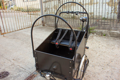 Cargo Tricycle Nexus fully serviced Children or goods